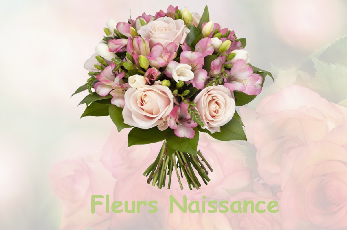 fleurs naissance CHAVERIA